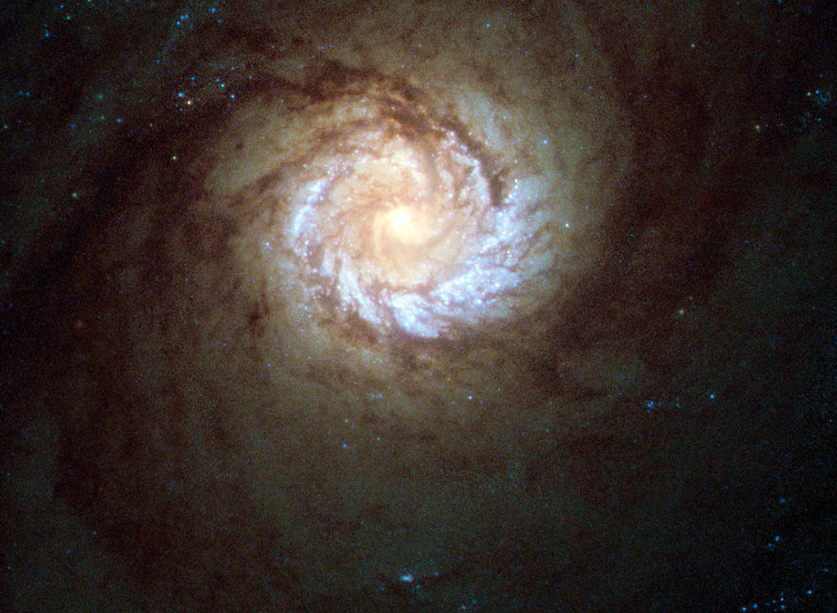 Galaxy formation and evolution