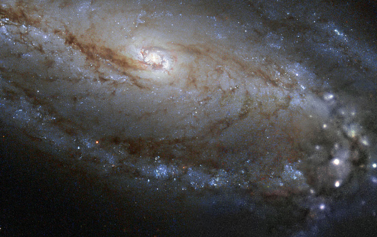 Extragalactic Astrophysics