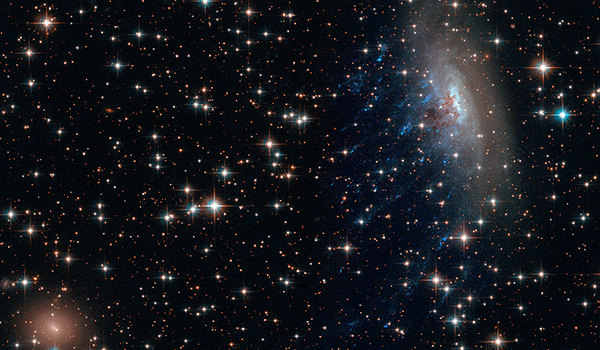 Large scale structure & Galaxy Clusters